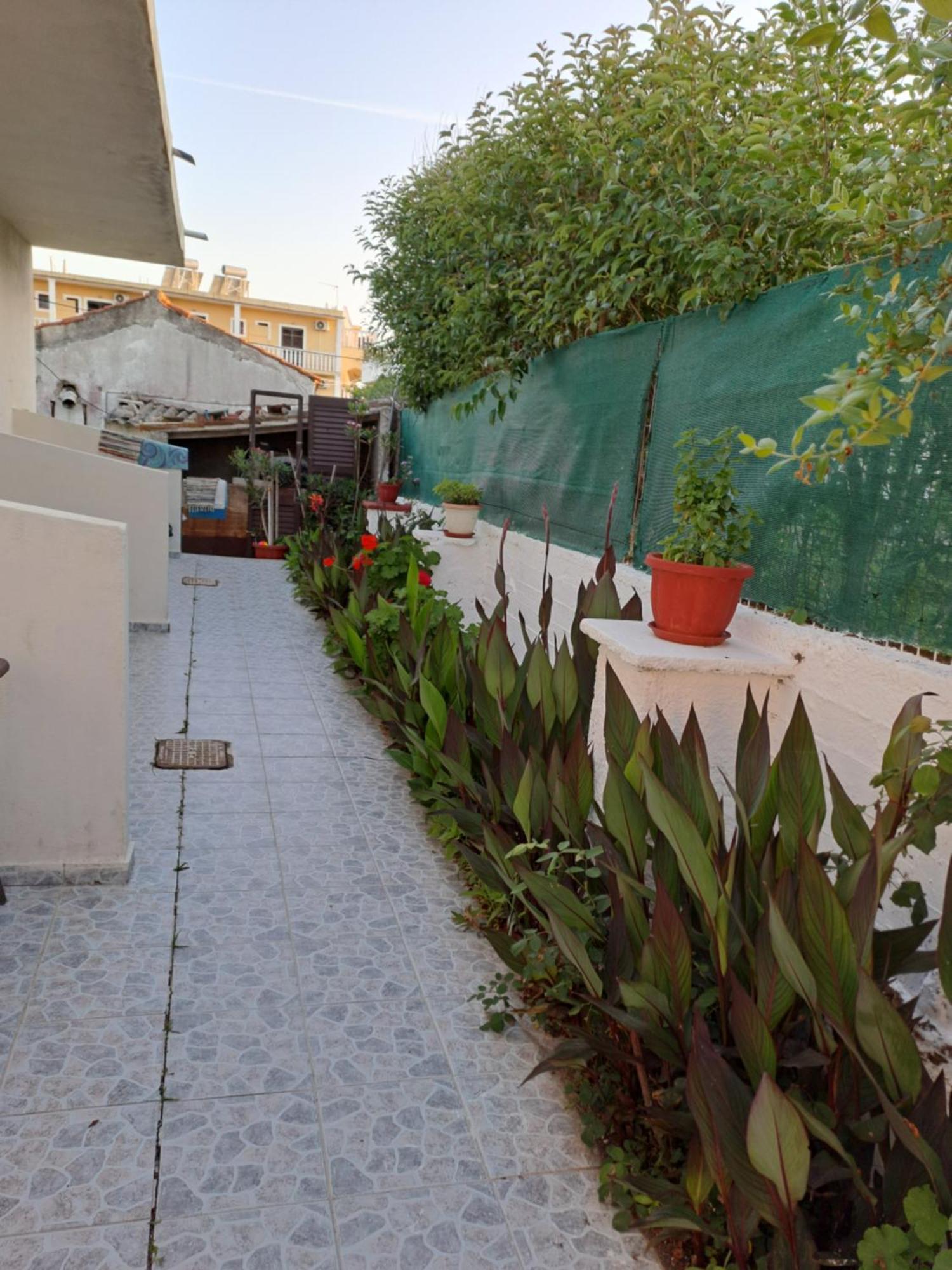 Tony'S Apartments Agios Georgios  Ngoại thất bức ảnh